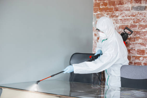 Best Biohazard Mold Removal  in Marion, TX